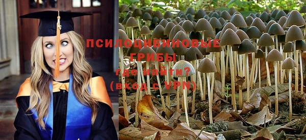 не бодяженный Абинск