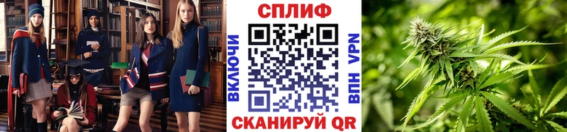 купить наркотик  Знаменск  МЕГА ссылки  Канабис конопля 